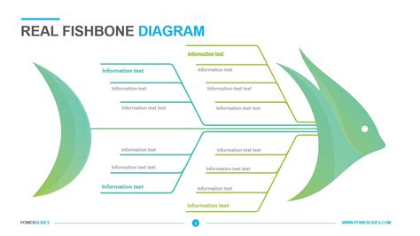 Modern Fishbone Diagram