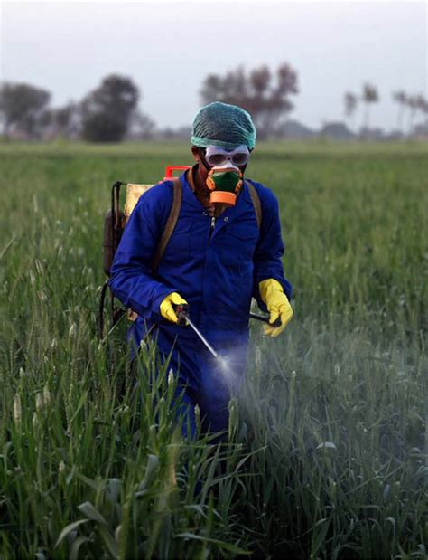 Pollution de l’eau imputable à l’agriculture