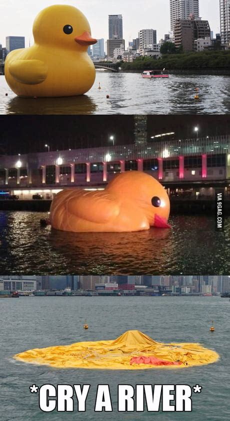 Giant Rubber Duck Meme