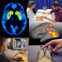 What is Cognitive Neuroscience? - Neuro Scientia