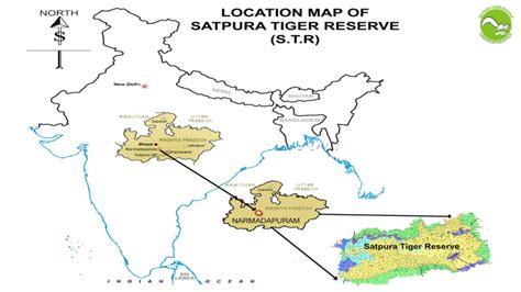 Satpura Tiger Reserve UPSC Notes: Location, Flora, Fauna & More