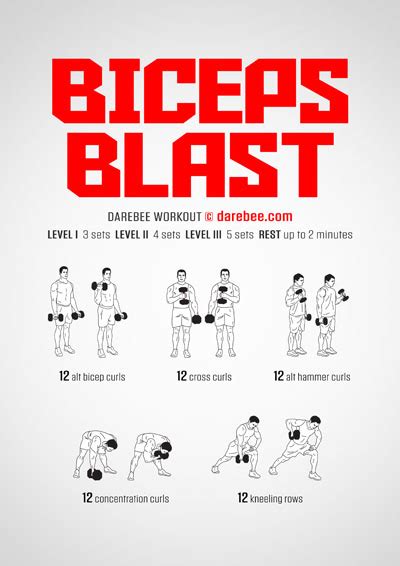 Biceps Workouts Collection