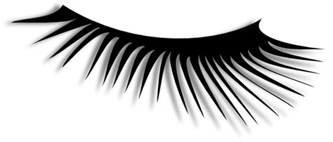Eyelashes Clip Art at Clker.com - vector clip art online, royalty free & public domain