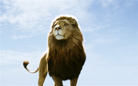 Aslan Narnia Wallpaper - WallpaperSafari