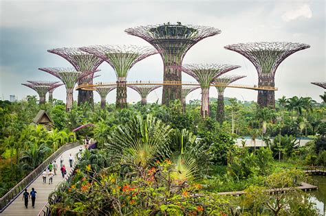 Green Acres by Singapore’s Skyscrapers - The New York Times