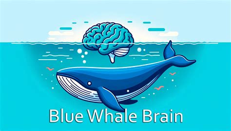 The Blue Whale Brain - Size and Cognitive Functions - Scienceluxe