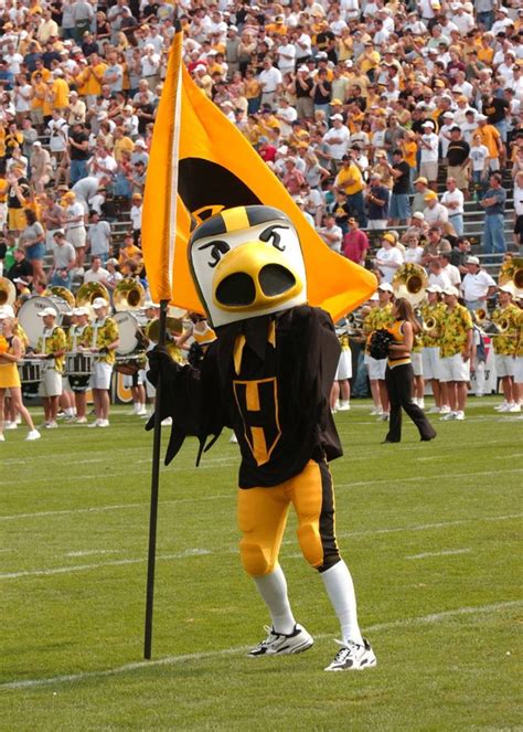 26 best images about University of Iowa Hawkeyes on Pinterest | Iowa fight song, Football team ...