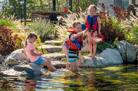 Natural Swim Ponds - Backyard Swim Pond Installations