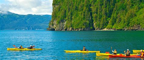 Fox Island Sea Kayaking | Alaska Collection | Sea kayaking, Kayaking, Kenai fjords