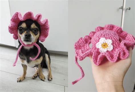 10 Cute Crochet Dog Hat Patterns to Make For Your Pup - Easy Crochet Patterns