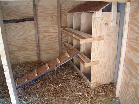 nesting boxes - Google Search | Chicken roost, Chicken nesting boxes, Inside chicken coop