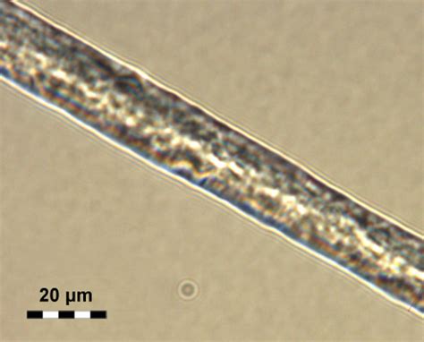 Silk fibre formation: using a microfluidic chip to mimic biospinning