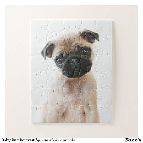 Baby Pug Portrait Jigsaw Puzzle | Zazzle.com in 2020 | Baby pugs, Jigsaw puzzles, Pugs