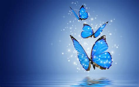 Top 14 Most Beautiful Butterflies in the World [Amazing Colors & Shapes] | Mariposas bonitas ...