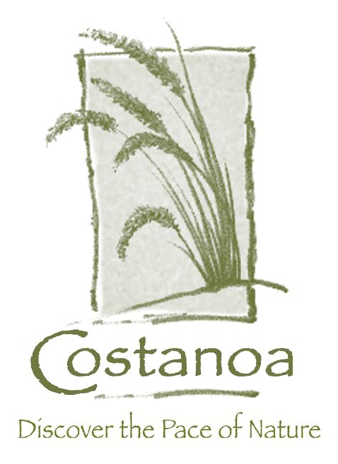 Costanoa Lodge And Resort In California, United States | Glamping.com