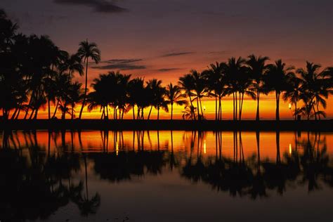 Palm Trees And Sunset Landscape Photograph by Gillham Studios - Fine ...