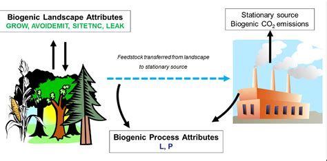 Figure 5 from Framework for Assessing Biogenic CO2 Emissions from ...