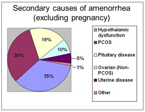 Amenorrhea: Causes, Symptoms, Diagnosis and Treament