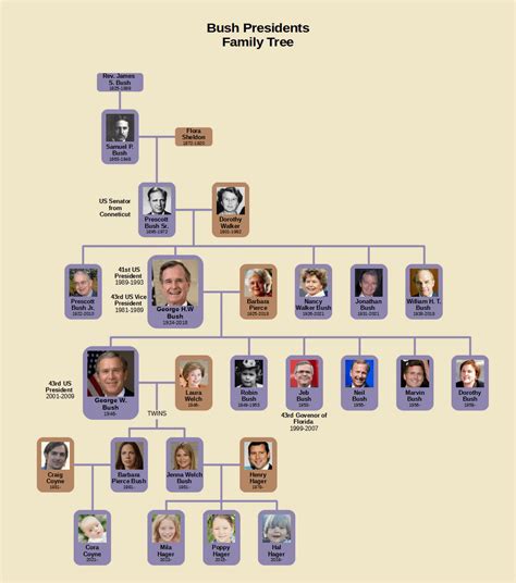 Bush Presidents Family Tree : r/UsefulCharts