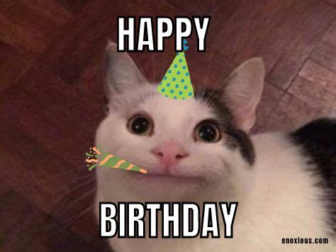 21 Happy Birthday Cat Meme Ideas | Happy birthday funny cats, Happy ...