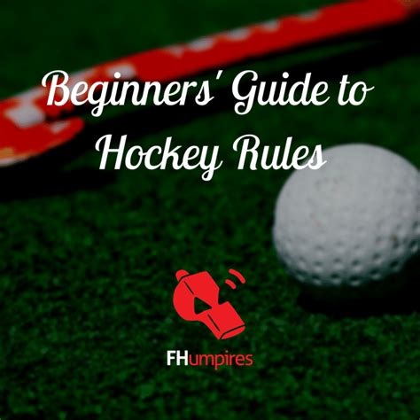 Beginners' guide to hockey rules - The Hockey Site