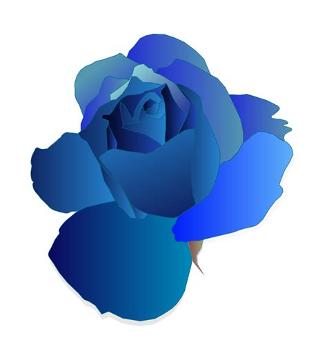 Free Blue Rose Cliparts, Download Free Blue Rose Cliparts png images, Free ClipArts on Clipart ...