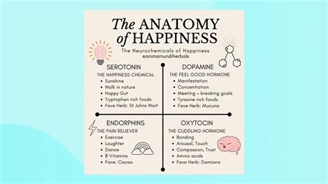 How to boost your happiness hormones - Video - Cityline