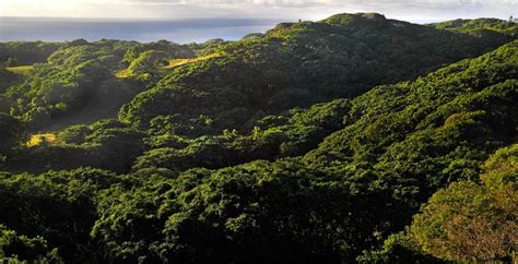 Mountains | Island, Archipelago, Fiji