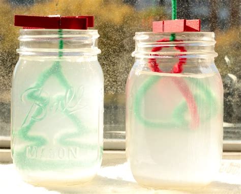 Salt Crystal Ornaments: Christmas Science Experiment