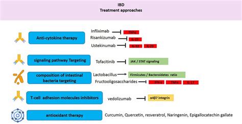 iBd treatment approaches. | Download Scientific Diagram