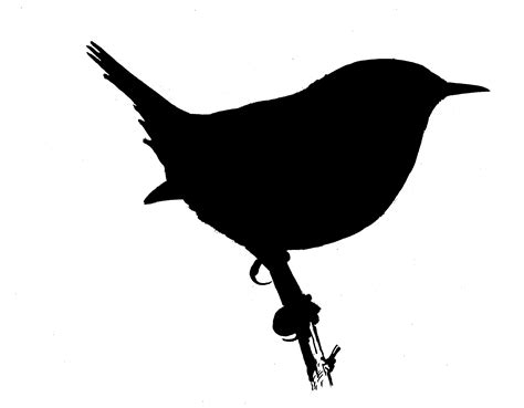 Bird Silhouette | Bird silhouette, Silhouette drawing, Bird