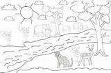 Coloring Pages Of The Forest sketch template