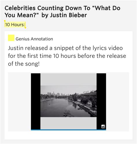 10 Hours: – Celebrities Counting Down To "What Do You Mean?" Lyrics Meaning