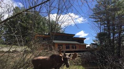 Squam Lakes Natural Sciences Center unveils 18 new exhibits