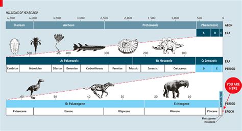 Anthropocene - Earth’s new epoch | Geological time scale of Earth