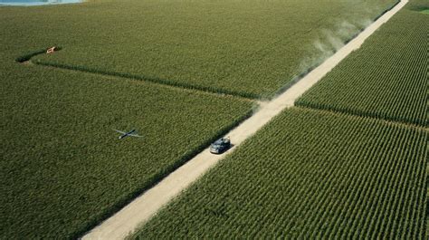 Interstellar movie. Corn field scene. | Cine, Peliculas, Verde