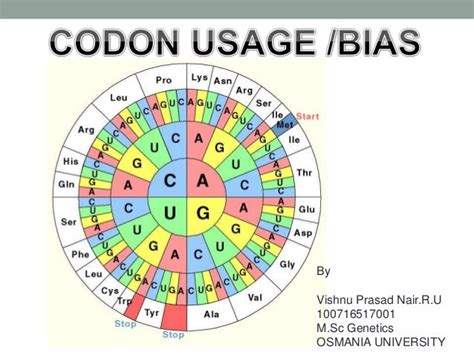 Codon usage/bias