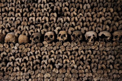 Culture : L'histoire des Catacombes de Paris