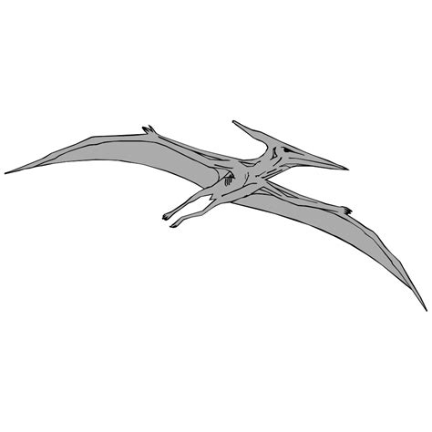 Gray Pterodactyl PNG, SVG Clip art for Web - Download Clip Art, PNG Icon Arts