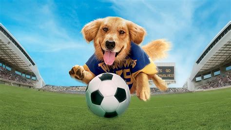 Prime Video: Air Bud: World Pup