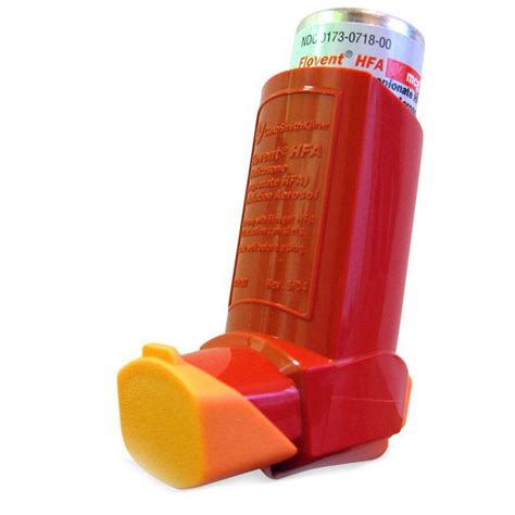 Flovent - Asthma Inhaler for Cats and Dogs | VetRxDirect Pharmacy