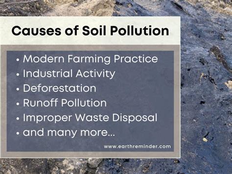 Best Soil Pollution Essay For Kids - 1400 Words | Earth Reminder