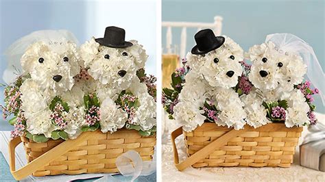 17 Beautiful Flower Arrangements For Dog Lovers