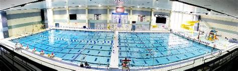 Holland Community Aquatic Center - All You Need to Know BEFORE You Go - Updated 2021 (MI ...