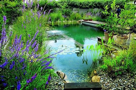 73 Backyard and Garden Pond Designs And Ideas