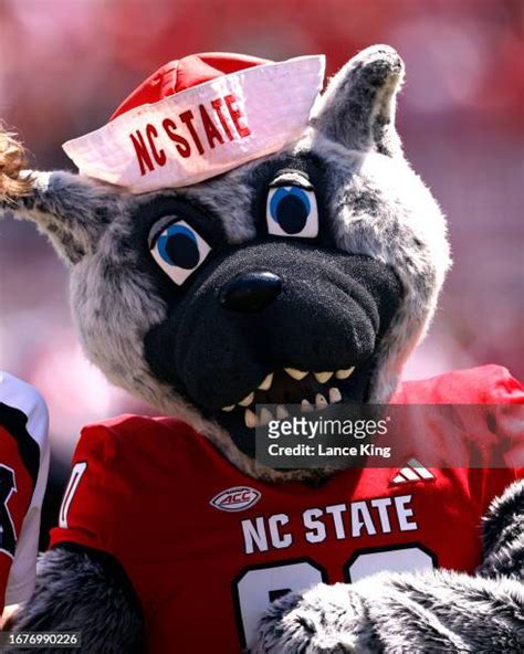 652 Nc State Wolfpack Mascot Stock Photos, High-Res Pictures, and ...