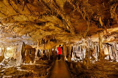 Lehman Caves Tours Great Basin National Park - What You Need to Know