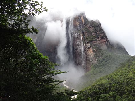 Birding Angel Falls and Laguna Canaima Area, Venezuela | Venezuela, Honeymoon travel, Laguna