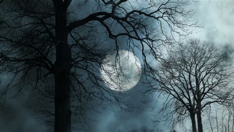 Time Lapse Of Moon Night Sky. Spooky Trees Silhouette. Darkness. Scary Sky. Clouds Moving Stock ...