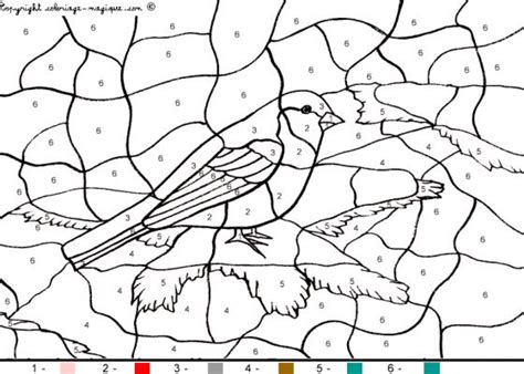 Coloriages magiques animaux - Oiseau - Coloriages magiques